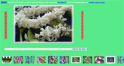 Desktop Screenshot of hawaiianleis.net